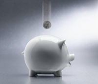 piggy bank